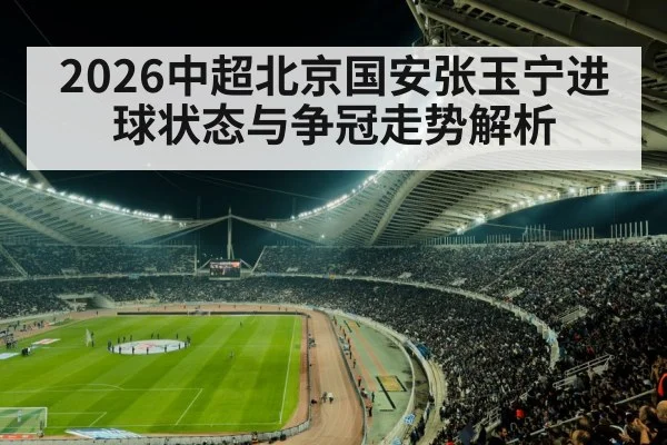 football stadium crowd night match