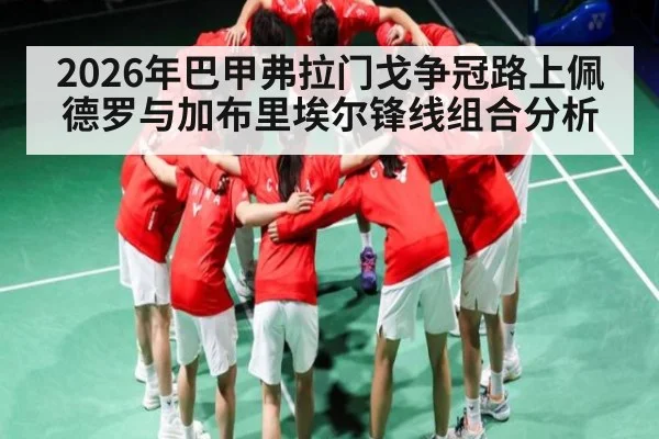 2026年巴甲弗拉门戈争冠路上佩德罗与加布里埃尔锋线组合分析